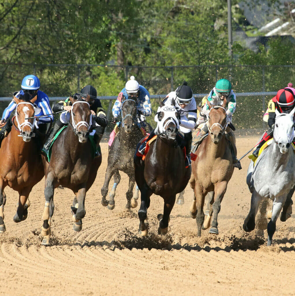 oaklawn casino slots